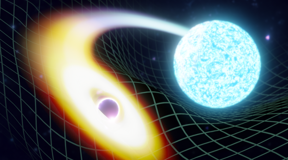 Top Universities for Black Holes and Neutron Stars Studies
